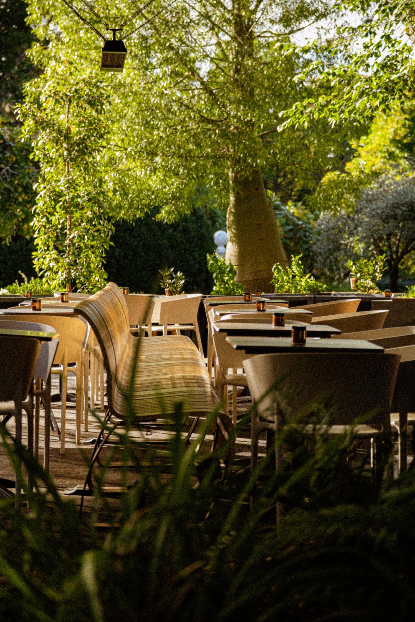 WYM (Where You Meet)