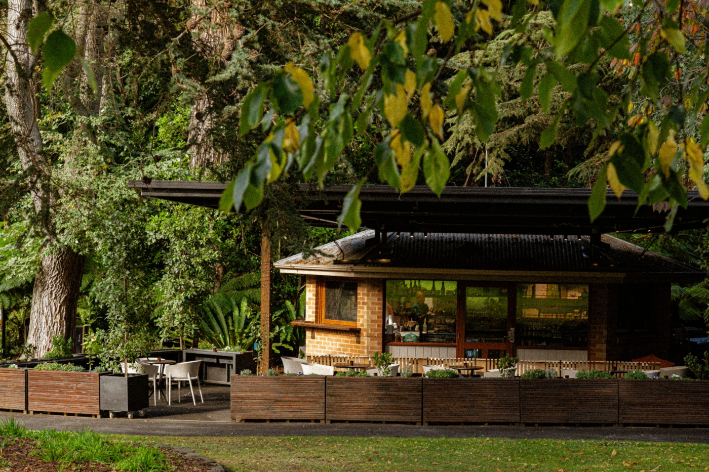 WYM (Where You Meet)