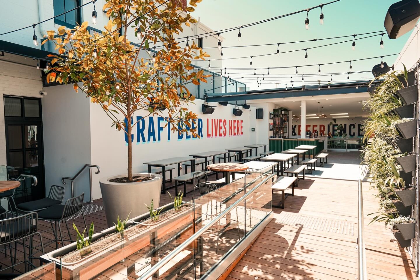 Malt Shovel Taphouse